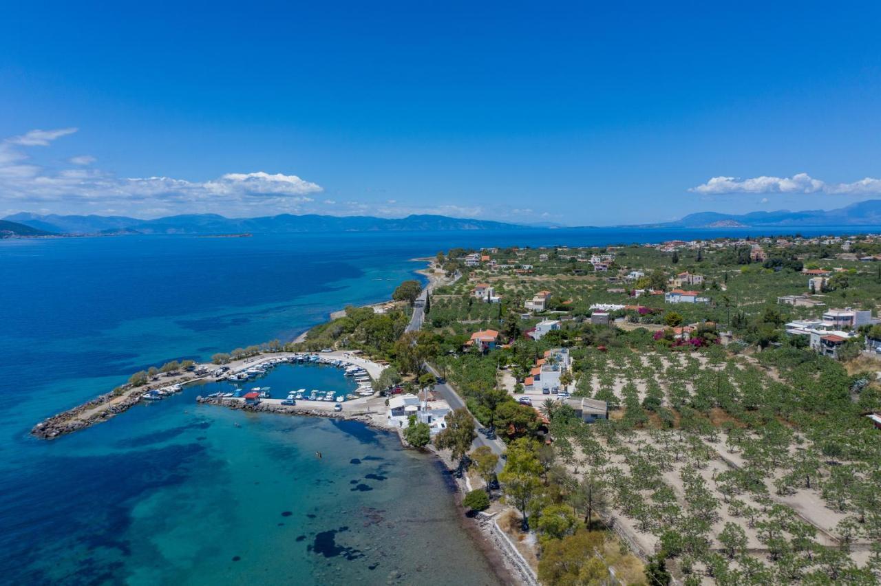 Stefanie Studios Aegina Kültér fotó